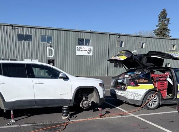 Image USAGoMobile Tires Tesla